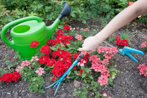 The image shows a close-up view of a garden bed with vibrant red and pink flowering plants, likely a variety of bedding flowers, arranged along the soil without visible mulch. A person, visible only from the arm down, is using a small hand rake to tend to the plants, with their hand holding the tool near the soil. To the left, there is a bright green plastic watering can with a black spout, placed on the soil adjacent to the flowering bed. The background features lush green foliage and shrubs, indicating a well-maintained outdoor garden space. The scene appears to be set in a residential garden, with natural light suggesting a bright, possibly sunny day, ideal for gardening activities. The overall environment exudes a neat and orderly outdoor area, suitable for a gardening service that offers planting, maintenance, and garden care in the Chigwell area, with the soil prepared for future planting or ongoing flower bed upkeep.