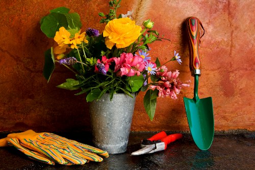 Garden tools and spring planting