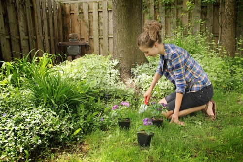 Eco-friendly hedge trimming practices