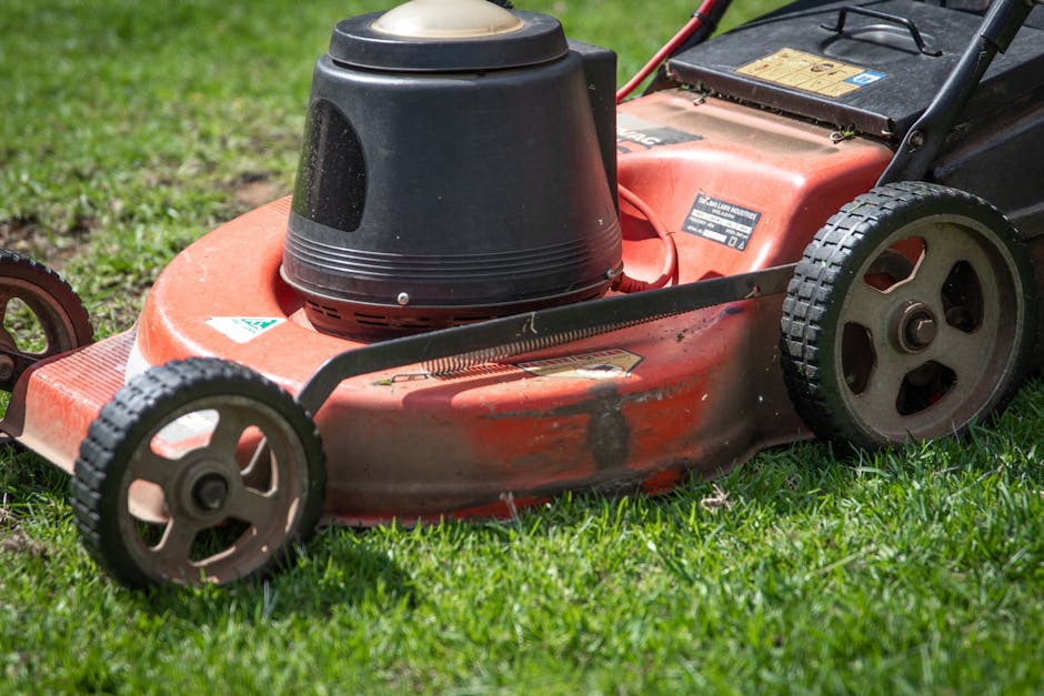 Close-up view of an orange petrol-powered lawn mower resting on a well-maintained grassy garden area. The mower features a black engine cover on top, with visible scratches and some dirt on the machin